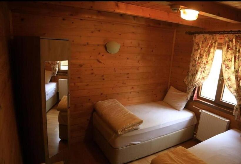 اتاق استاندارد با چشم‌انداز, Ayder Paradise Otel