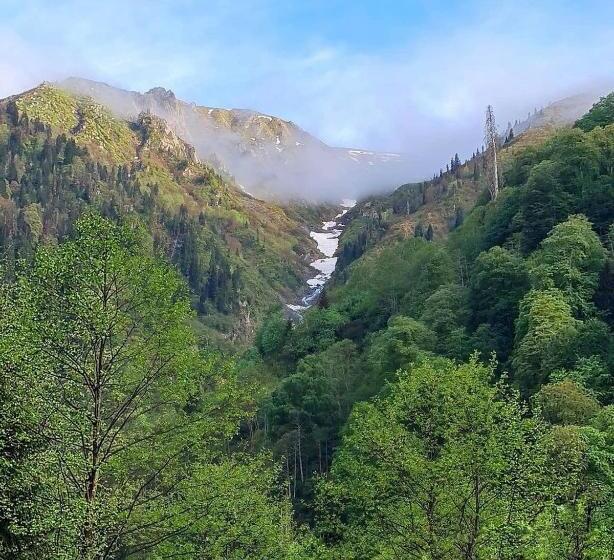 اتاق استاندارد سه نفره, Ayder Paradise Otel