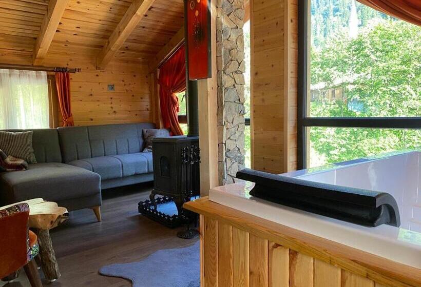 חדר סופריור, Ayder Paradise Otel