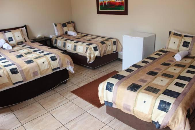 חדר משפחתי, Petra Lodge