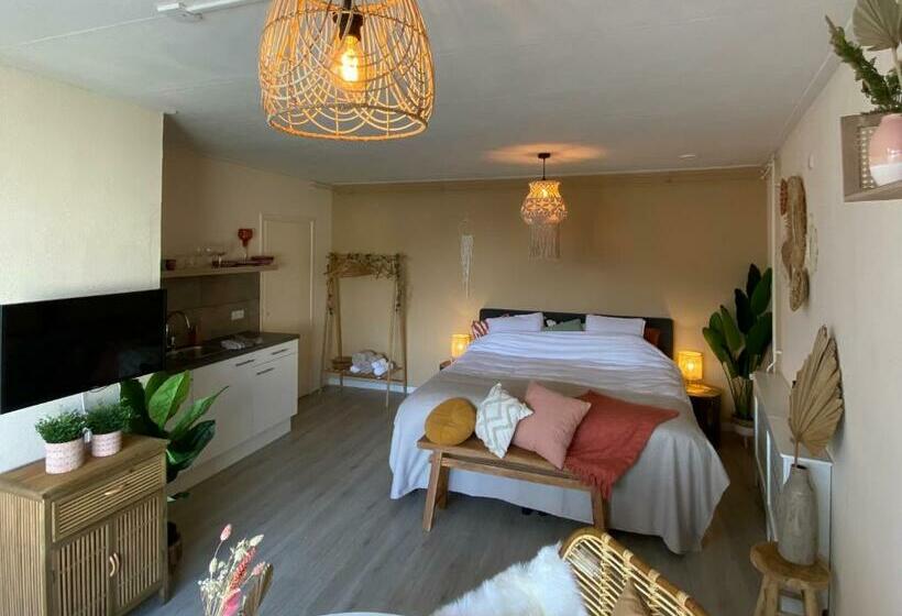 חדר סטנדרט עם טרסה, Bed En Koffie Casa Mañana De Koog