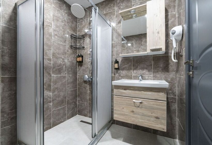 اتاق استاندارد, Monezza