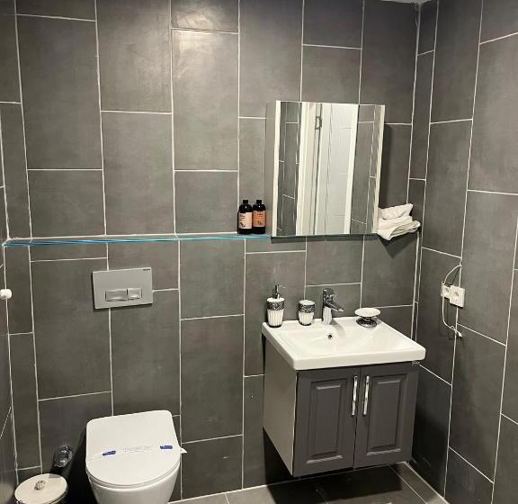 استودیوی استاندارد, Monezza