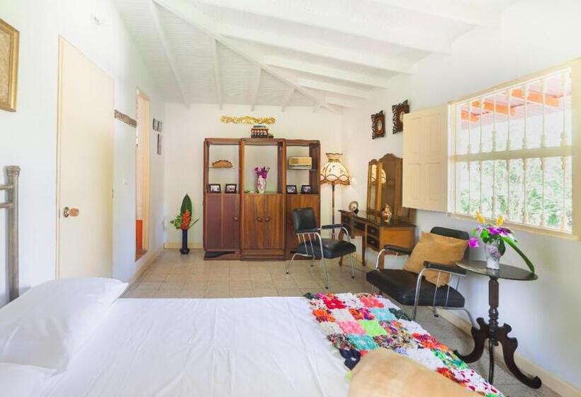 חדר סטנדרט, Finca Los Abuelos   La Planta