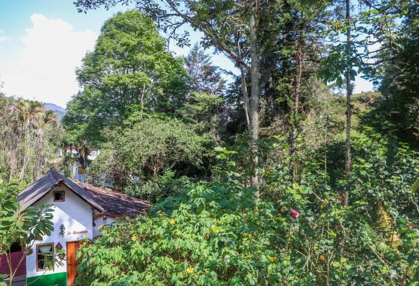 חדר סטנדרט עם טרסה, Finca Los Abuelos   La Planta