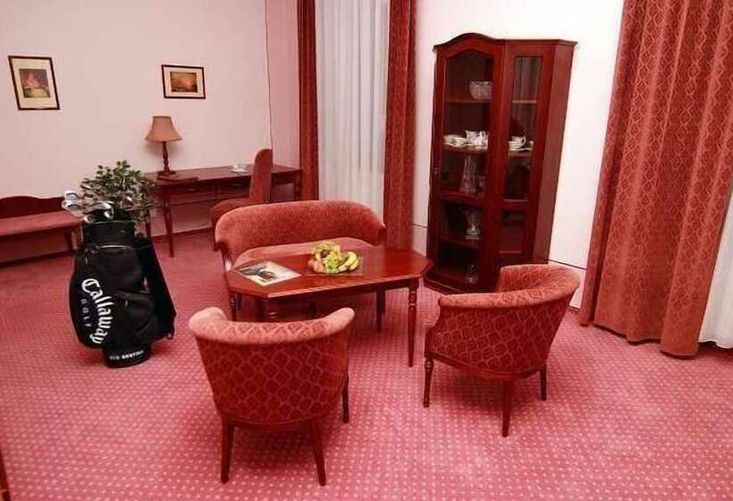 スタンダードルーム, Golf Resort Hotel Konopiště