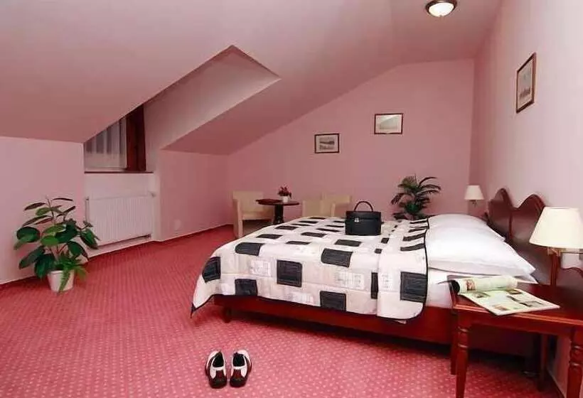 スタンダードルーム, Golf Resort Hotel Konopiště