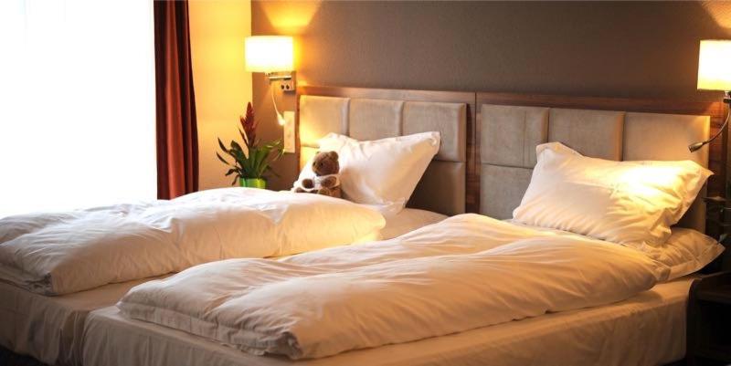 غرفة قياسية, Falken Am Rotsee