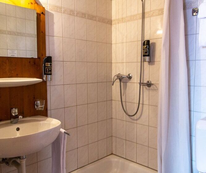 Номер Стандарт, Hôtel Le Relais Alpin