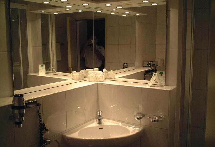 Номер Economy Индивидуальный, Ochsen Lenzburg