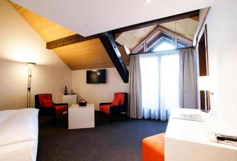 Полулюкс Вид на Сад, Ochsen Lenzburg