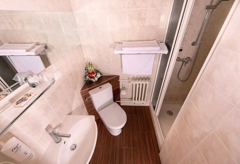 חדר סטנדרט, Park Hotel Pruhonice