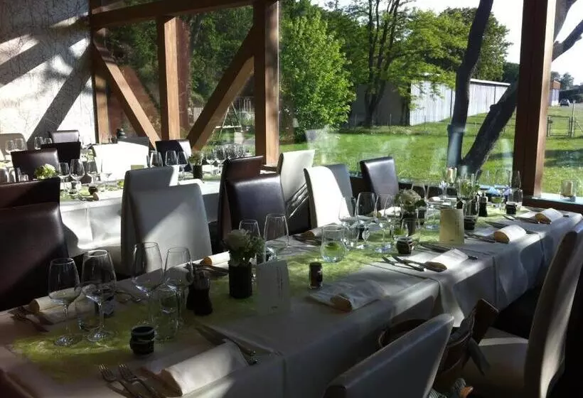 Standard-huone, Relais De L Aérodrome