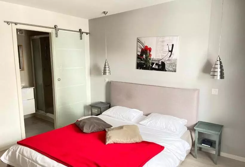 Standard-huone, Relais De L Aérodrome