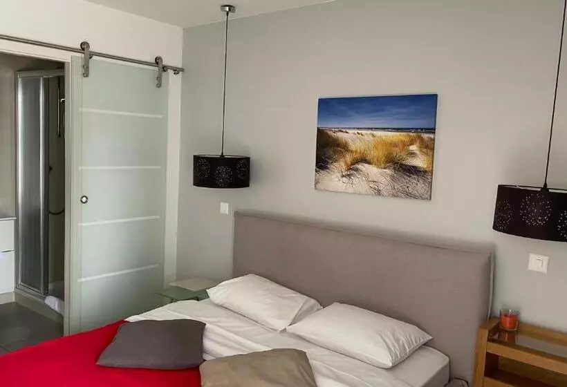 Standard-huone, Relais De L Aérodrome