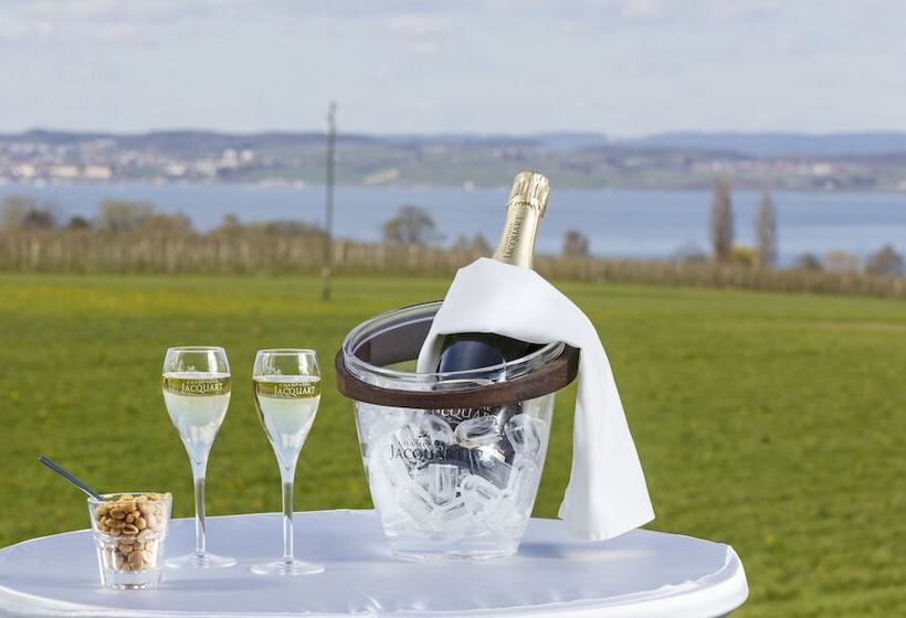 غرفة ديلوكس مطلة على البحيرة, Seemöwe Swiss Quality