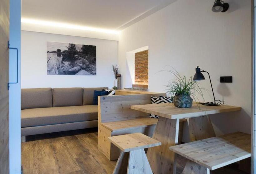 דירת דופלקס בת חדר שינה 1, ölerhof