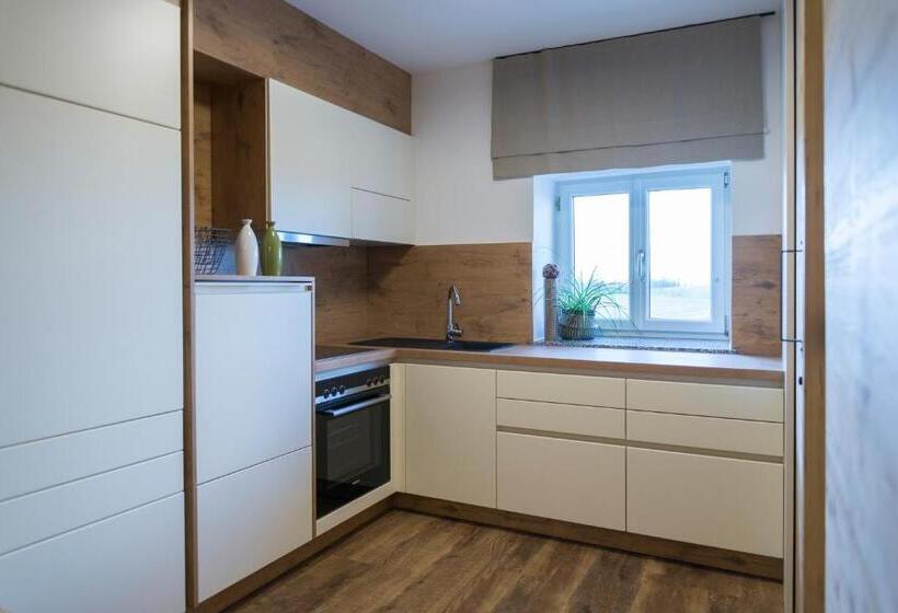 带1个卧室的豪华公寓, ölerhof