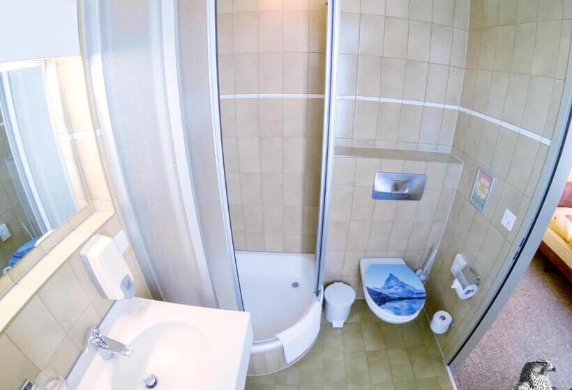 스탠다드 싱글 룸, Gasthof Zum Falken