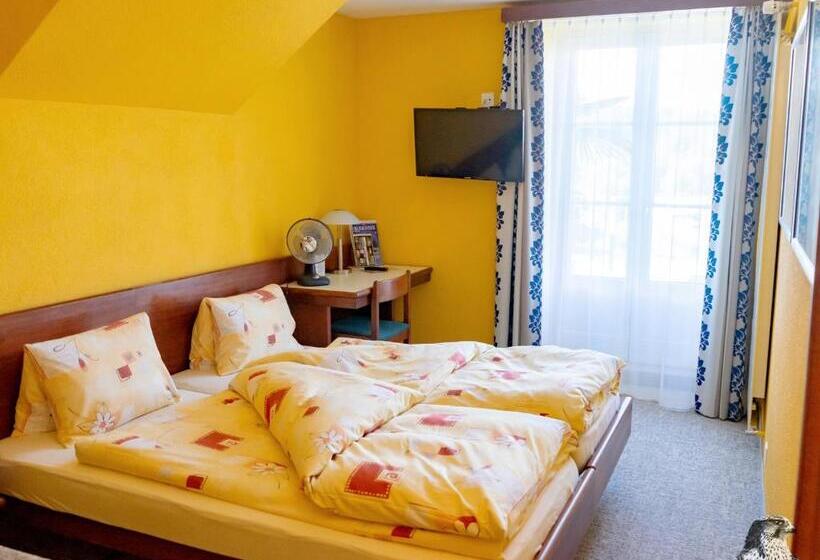 스탠다드 룸, Gasthof Zum Falken