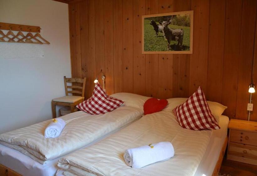 غرفة قياسية حمام مشترك, Gasthaus Alpina