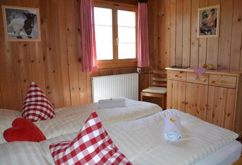 غرفة قياسية حمام مشترك, Gasthaus Alpina