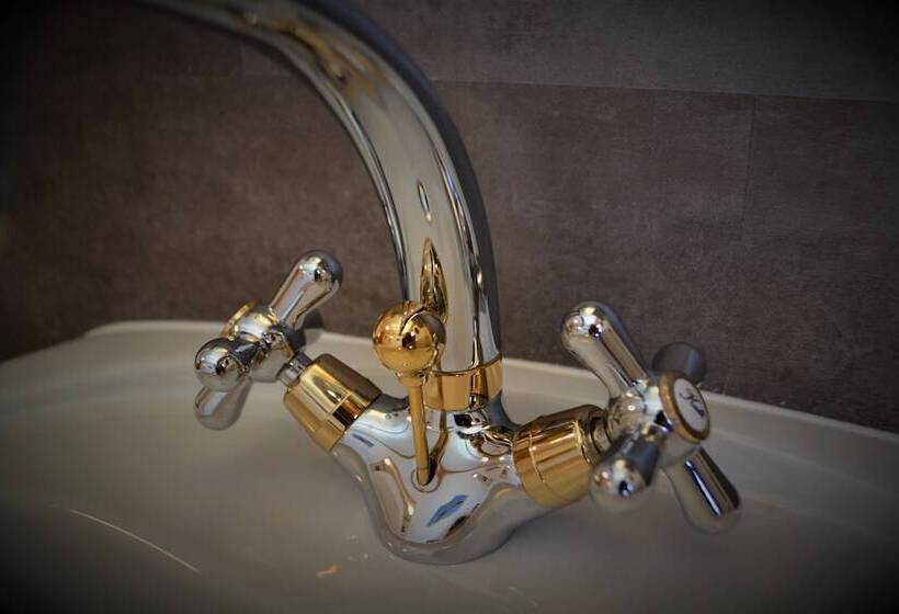 غرفة قياسية فردية حمام مشترك, Gasthaus Alpina