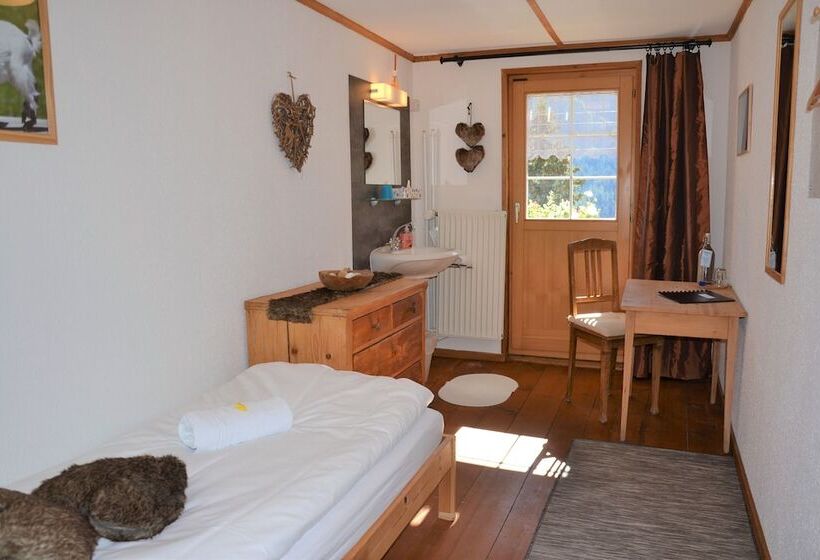 标准单人间共用浴室, Gasthaus Alpina
