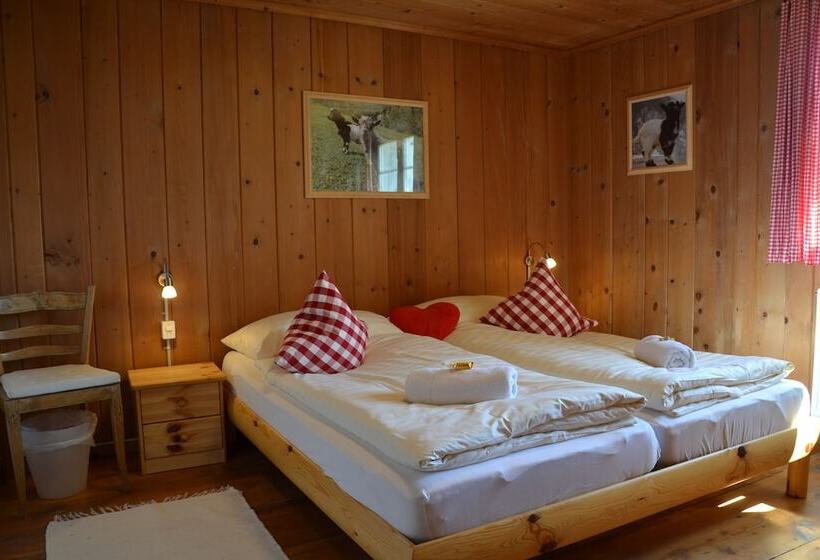 غرفة قياسية حمام مشترك, Gasthaus Alpina