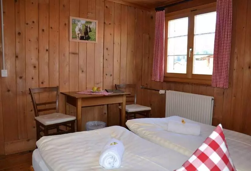 バス共有のスタンダードルーム, Gasthaus Alpina