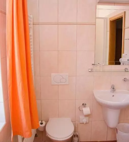 اتاق کلاس بیزنس, Penzion Nad Oborou