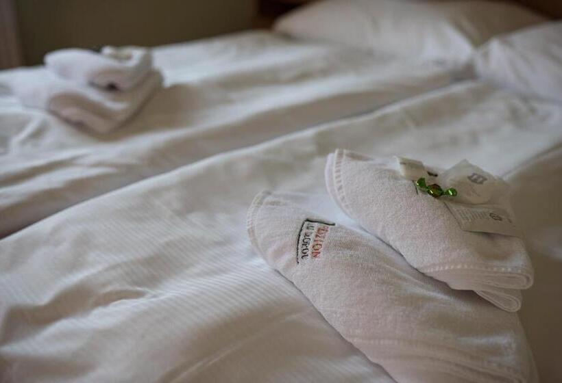 Номер Superior, Penzion Nad Oborou