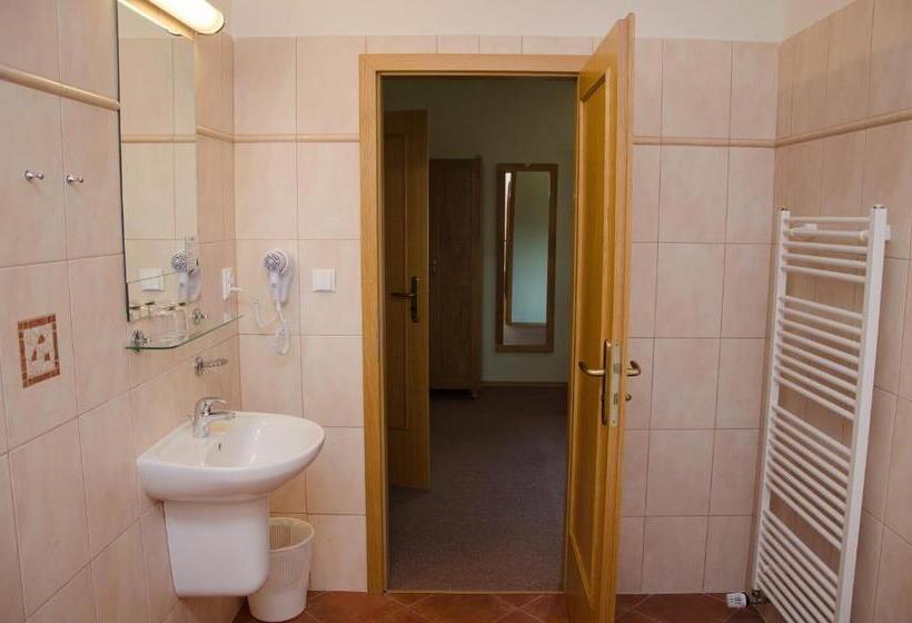 Номер Superior, Penzion Nad Oborou