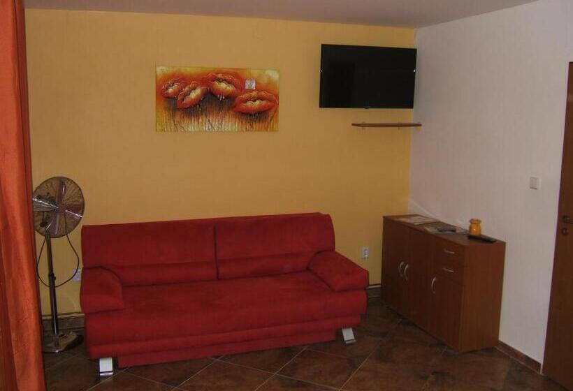 Апартаменты 1 Спальня, Penzion V Roklich & Apartmens V Roklich