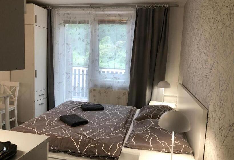 Номер Стандарт Внутренний, Penzion V Roklich & Apartmens V Roklich