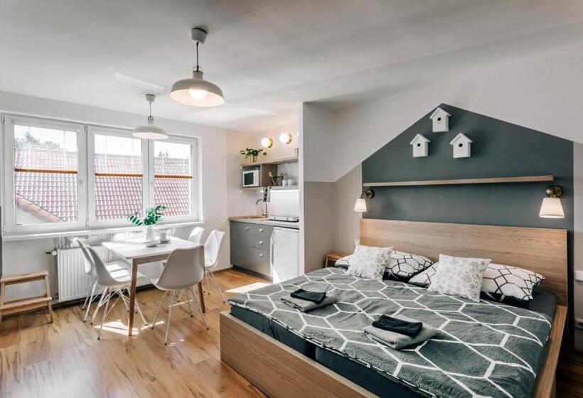 Студия Стандарт, Penzion V Roklich & Apartmens V Roklich