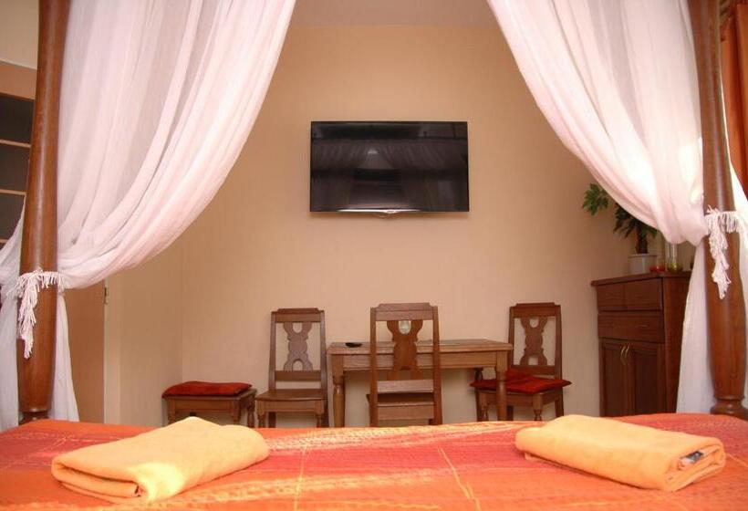 Апартаменты Deluxe 1 Спальня, Penzion V Roklich & Apartmens V Roklich