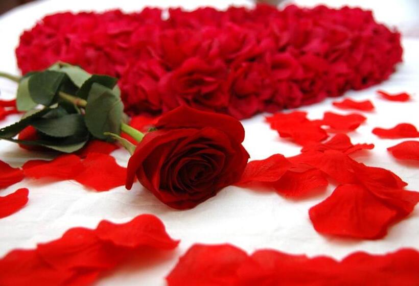 Апартаменты Deluxe 1 Спальня, Penzion V Roklich & Apartmens V Roklich