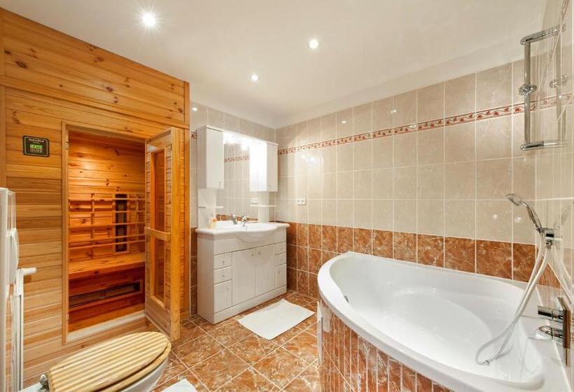 Апартаменты Deluxe 1 Спальня, Penzion V Roklich & Apartmens V Roklich