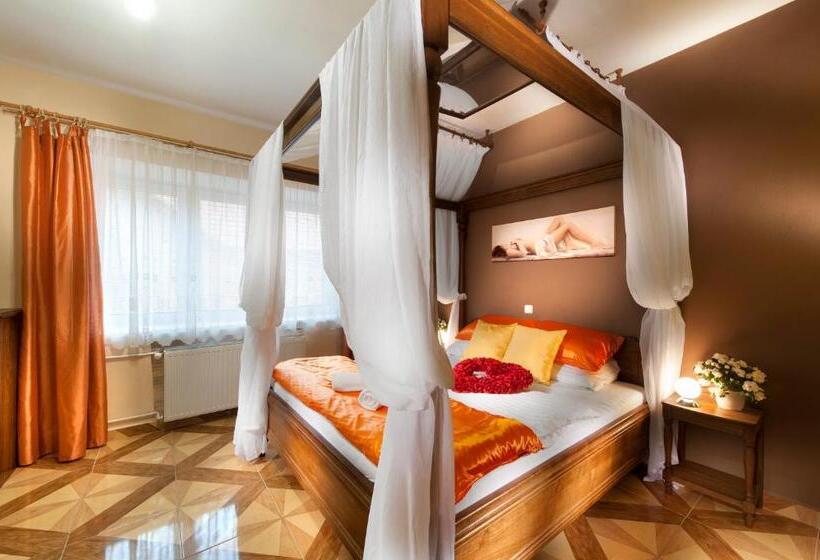 Апартаменты Deluxe 1 Спальня, Penzion V Roklich & Apartmens V Roklich