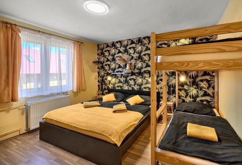 Апартаменты 1 Спальня, Penzion V Roklich & Apartmens V Roklich