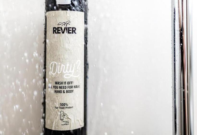 Номер Стандарт Вид на Город, Revier Mountain Lodge Adelboden