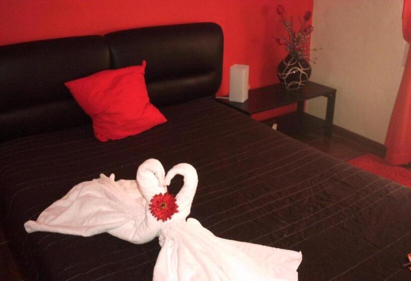 스탠다드 룸, Seia Alojamentos Leitao