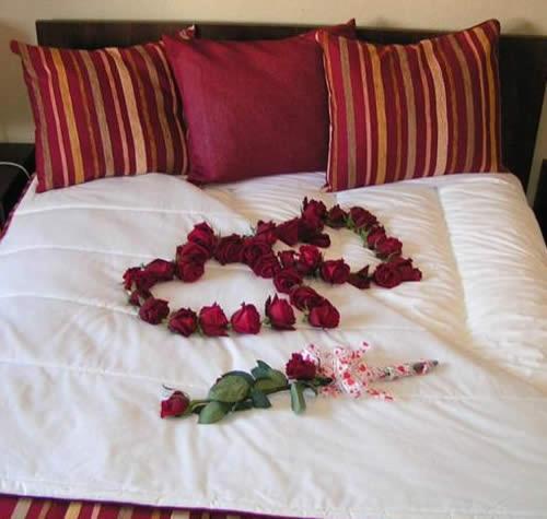 2 베드룸 이코노미 아파트, Seia Alojamentos Leitao