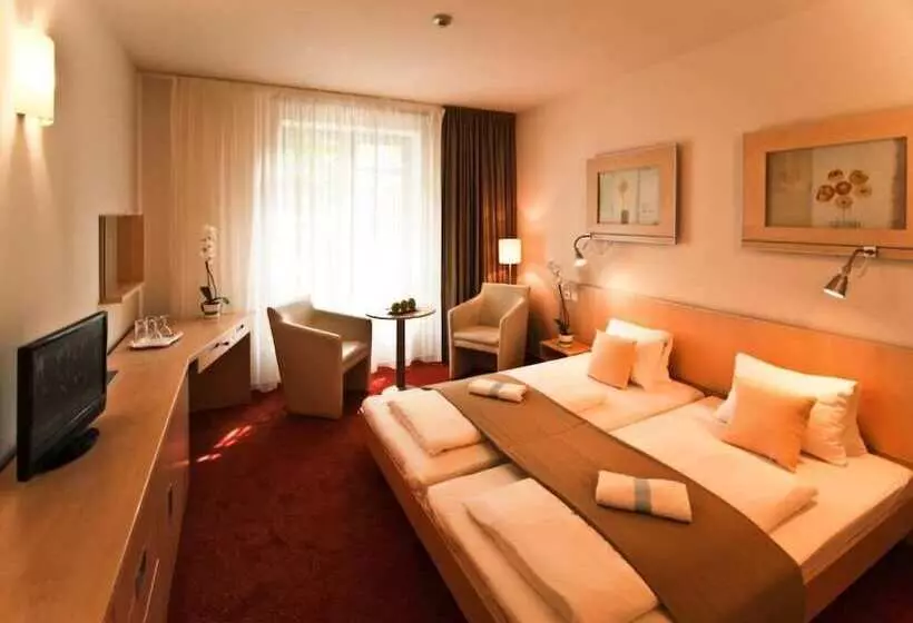 １ベッドルームアパートメント, Spa Hotel Felicitas