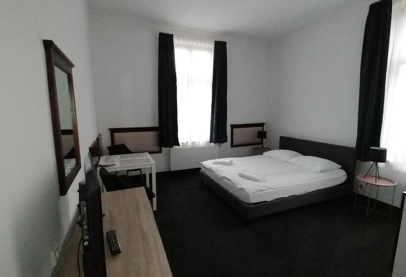 اتاق استاندارد با تخت بزرگ, Villa Grudziądz