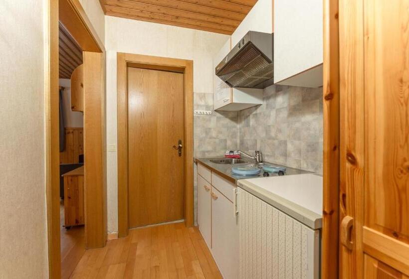 شقة غرفة نوم واحدة مزودة بشُرفة, Winklhütte