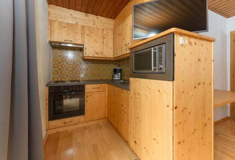 شقة غرفتين نوم مزودة بشُرفة, Winklhütte