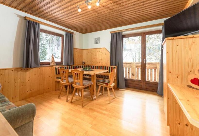 شقة غرفتين نوم مزودة بشُرفة, Winklhütte