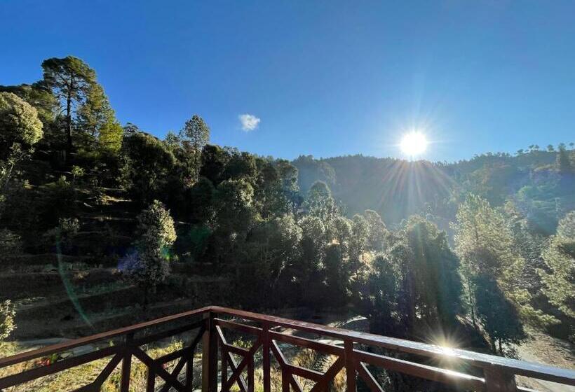 Komfort Trippelrum, Francolin Lodge Farmstay @ Darima